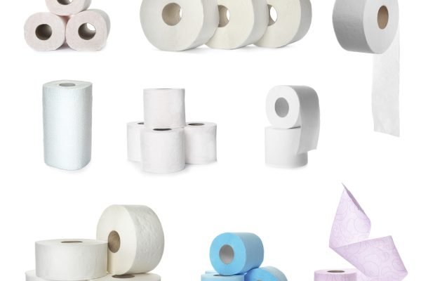 Set with rolls of toilet paper on white background